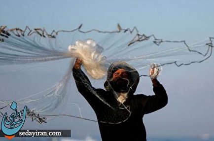 تصاویر منتخب روز/از مسابقه خودروهای دست ساز تا ماهیگیری جوان فلسطینی در غزه